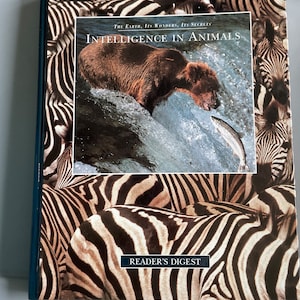 Intelligence in Animals National Geographic great photos