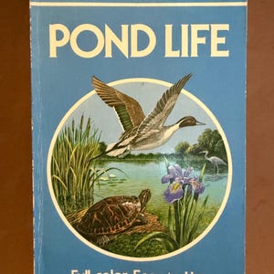 Pond Life Golden Guide Book insects fish ducks vintage 60’s for homesteads farm pond
