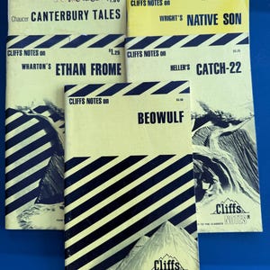 Vintage Cliffs Notes Lot 5 Classic Literature Study Guides Catch 22 Native Son Beowulf Canterbury Tales Ethan Frome Vintage School Books