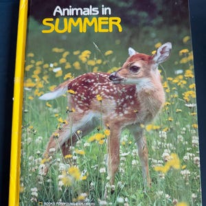 Animals in Summer National Geographic
