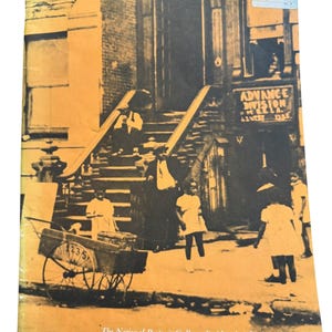 May include: Vintage book cover with sepia-toned image of a street scene from the 1920s. The cover features the title "A Glimmer of Their Own Beauty" and "Black Sounds of the Twenties." The National Portrait Gallery and Smithsonian Institution are also noted.