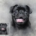 Custom Pug Portrait, Custom Pet Portrait, Personalized Pug Gift ...