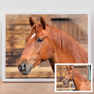 Custom Horse Portrait Personalized Horse Gift for Her Unique Horse Memorial Gift Custom Horse Gift for Him Custom Pet Portrait Pet Loss Gift