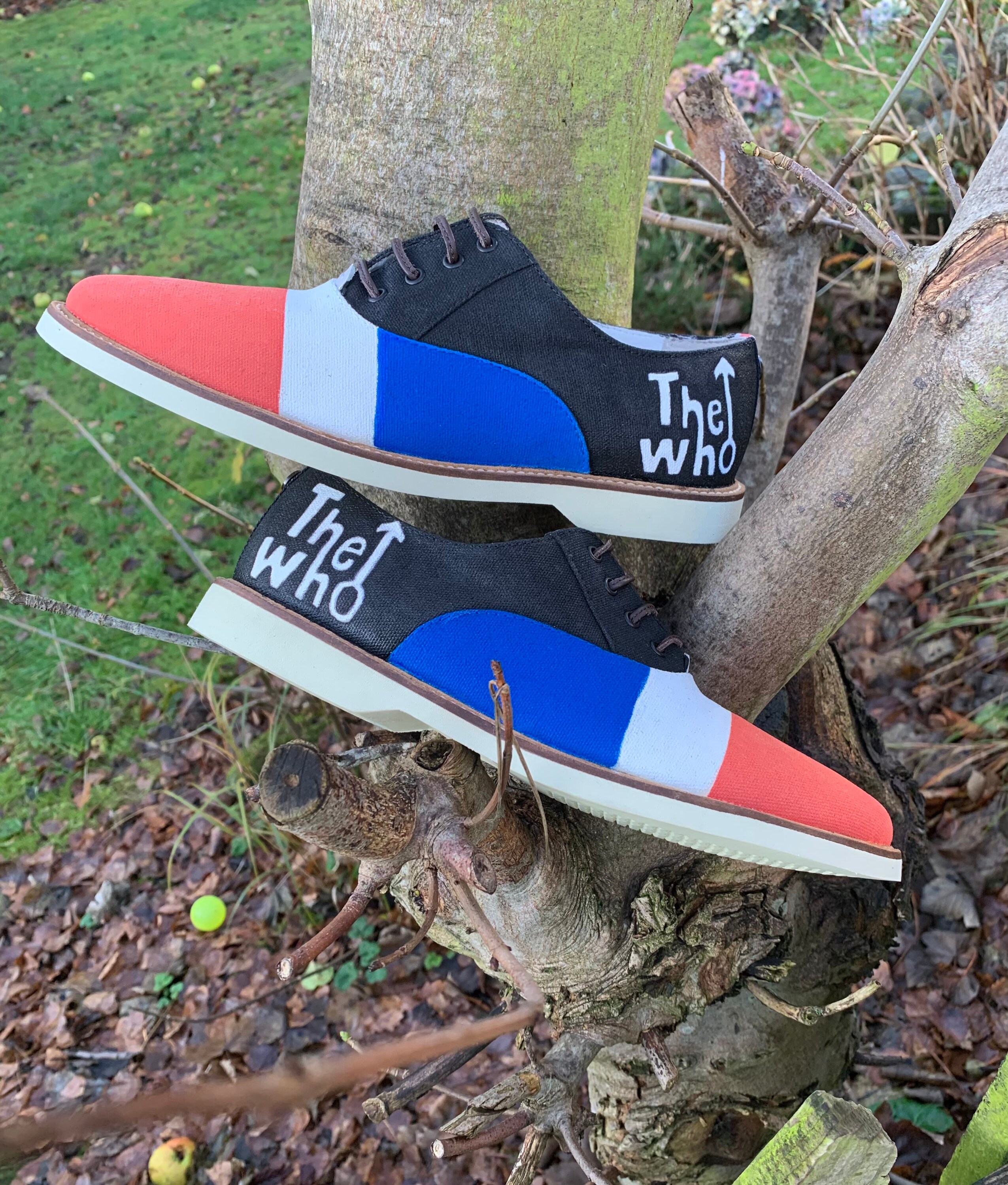 Lacoste brogues Clearance