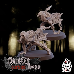 Puede incluir: Dos figuras de fantasía marrones detalladas de figuras blindadas en poses dinámicas. Una se arrodilla, la otra está de pie, ambas sobre bases circulares. Las figuras tienen elaborados cascos y armaduras. El texto "Dark Elf Corvus Team" y un gráfico de cuervo son visibles.