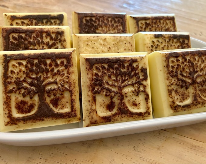 Vanilla &  Clove  Soap