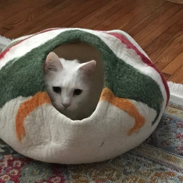 Cute Cat Beds Calming Petsmart Tunnel Hideaway Raised Baskets Etsy