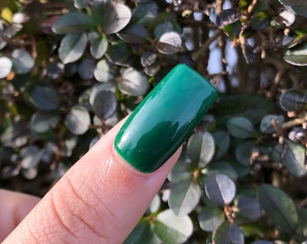Pine (Dark Green Press-on Nails)
