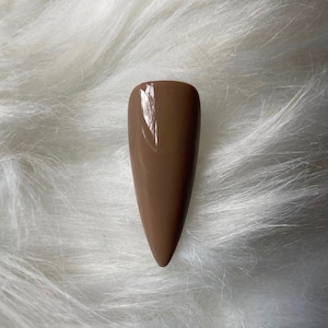 Sage (Fall Green Press-on Nails)