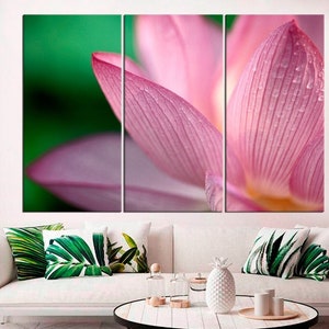 Lotus rose Nelumbo nucifera Fleur de beauté sur l’eau Floral Wall Art Mode Home Decor Gouttes d’eau sur les pétales de lotus - Livré prêt à accrocher