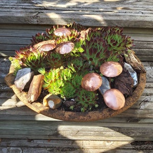 May include: A terracotta pot filled with green succulents and topped with copper mushroom-shaped ornaments.
