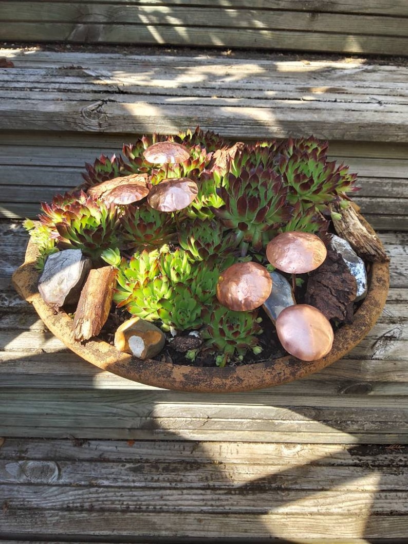 May include: A terracotta pot filled with green succulents and topped with copper mushroom-shaped ornaments.