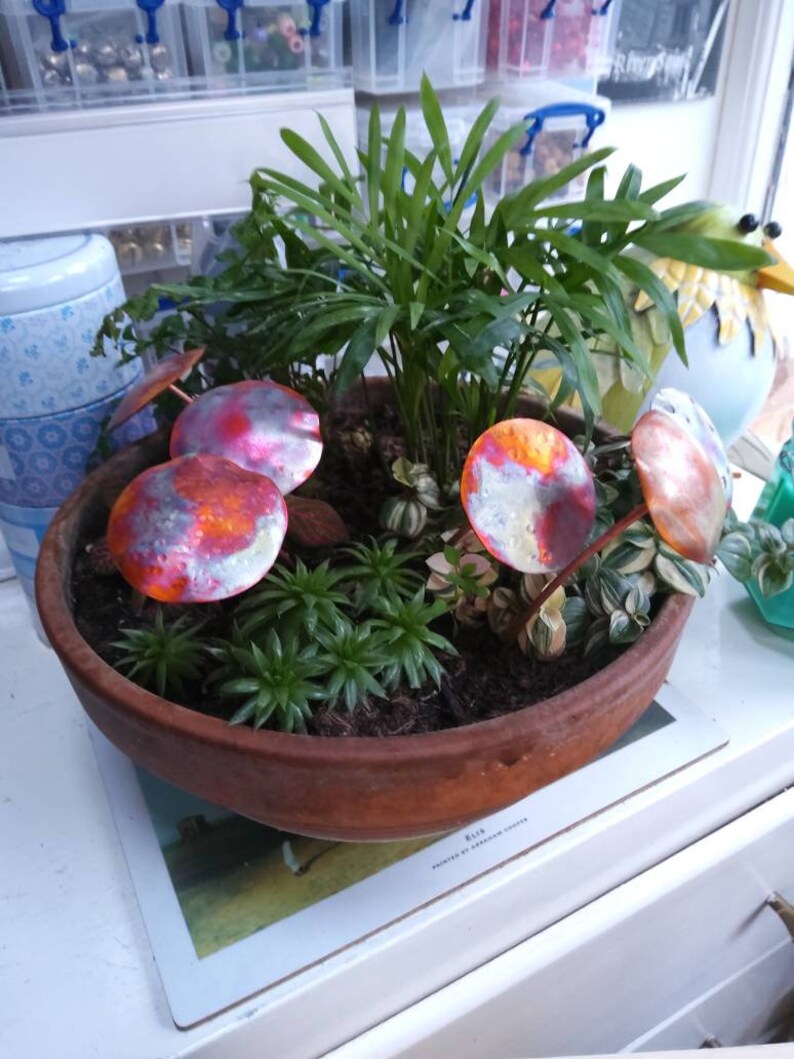 May include: A terracotta pot containing a variety of green plants and small copper mushrooms with orange and red accents.