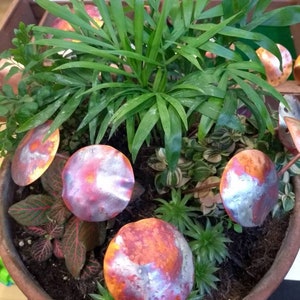 May include: A terracotta pot containing a variety of green plants and small succulents. The pot is decorated with five copper-coloured mushroom-shaped ornaments.