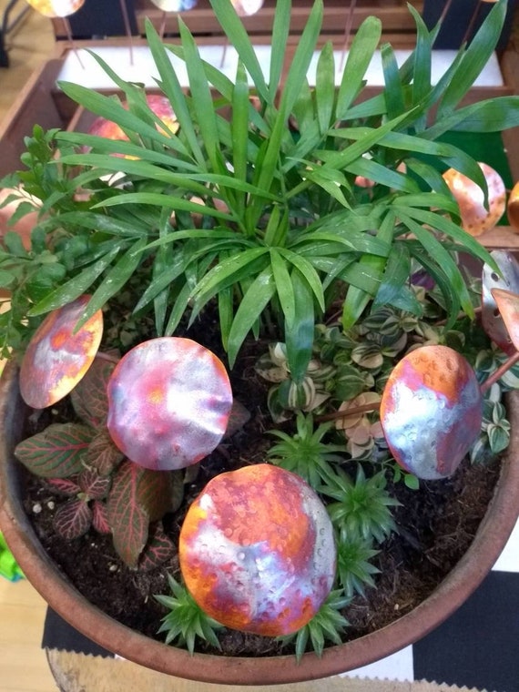 Fairy Garden flame painted Copper Texured Mushrooms  New handcrafted Pair