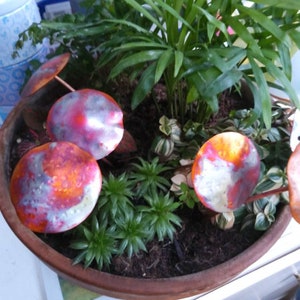 May include: A terracotta pot containing a variety of plants, including a small palm tree, succulents, and ferns. The pot is decorated with copper-coloured metal discs that resemble mushrooms.