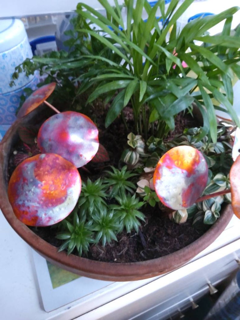 May include: A terracotta pot containing a variety of plants, including a small palm tree, succulents, and ferns. The pot is decorated with copper-coloured metal discs that resemble mushrooms.