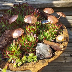 May include: A terracotta pot filled with green succulents and topped with copper mushroom-shaped ornaments. The pot is sitting on a wooden surface.