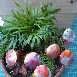 May include: A terracotta pot filled with green plants and colourful metal mushrooms. The mushrooms have a metallic finish with shades of red, orange, and silver.