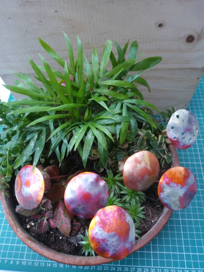 May include: A terracotta pot filled with green plants and colourful metal mushrooms. The mushrooms have a metallic finish with shades of red, orange, and silver.