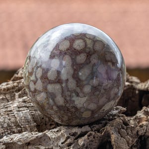 Könnte beinhalten: Eine polierte, runde, graue und braune Kugel mit einem einzigartigen, wirbelnden, marmorierten Muster. Die Kugel liegt auf einem Stück rauen, verwitterten Holzes.