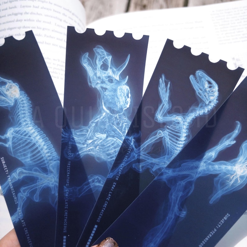 May include: A collection of dark blue bookmarks featuring x-ray images of dinosaur skeletons. Each bookmark displays a different dinosaur, including a Tyrannosaurus, Triceratops, Velociraptor, and Pteranodon. The bookmarks have a scalloped edge.
