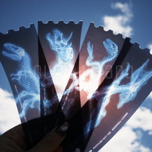 May include: A hand holds a fan of black tickets with blue x-ray images of dinosaur skeletons. The tickets have a scalloped edge and text that reads "SUBJECT: TYRANNOSAURUS" and "SUBJECT: PTERANODON". The background is a blue sky.