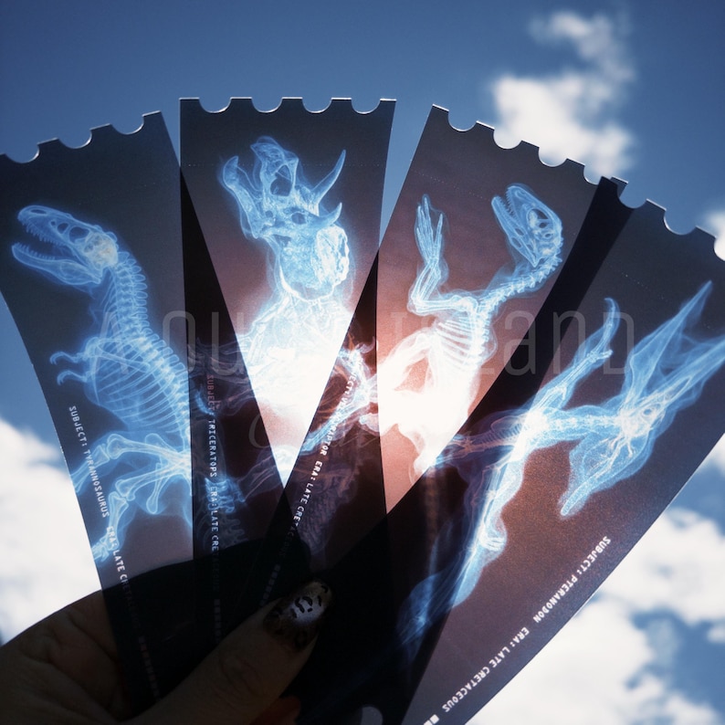 May include: A hand holds a fan of black tickets with blue x-ray images of dinosaur skeletons. The tickets have a scalloped edge and text that reads "SUBJECT: TYRANNOSAURUS" and "SUBJECT: PTERANODON". The background is a blue sky.