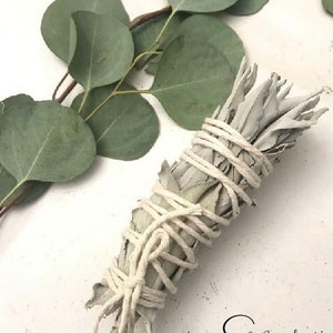 Dried Handmade White Sage Smudge Stick Wand | New Moon Ceremony | Cleansing 5 inch
