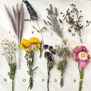 Assorted Real Dried Flowers | Crafting | Roses Strawflowers | Wedding Invitations, wax seal, jewelry, candle, resin art, bookmark