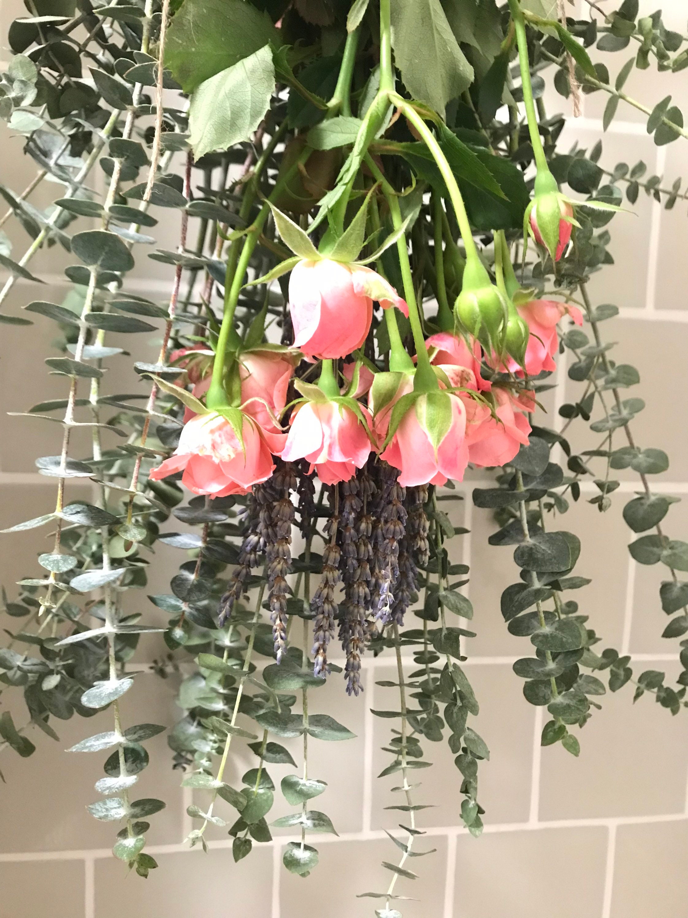 Eucalyptus Lavender Roses Shower Bunch Eucalyptus Bouquet - Etsy