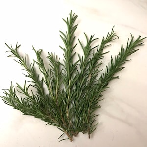 Fresh Rosemary Sprigs | Rosemary Bunch Six 5&quot; - 6&quot; , Tablescape, Placesetting