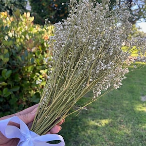 DRIED Baby&#39;s Breath Bouquet | Wedding, Bridal, Boho Decor | Forever Bouquet