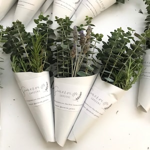 May include: Several white paper cones filled with fresh herbs, including rosemary, eucalyptus, and lavender. Each cone is labeled with the text "Somerville Gardens" and a floral design. The herbs are green and purple.