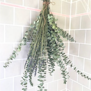 Eucalyptus + Lavender Shower Bunch| Eucalyptus Bouquet | Aromatherapy ...