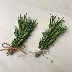 Fresh Rosemary Boutonnière Wedding, Groom, Groom's Men, Best Man image 1