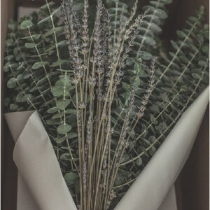 Eucalyptus + Lavender Shower Bunch| Eucalyptus Bouquet | Aromatherapy ...