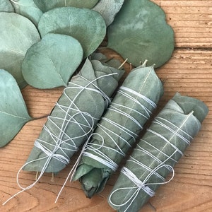 Zestaw 3 suszonych miniaturowych ręcznie robionych patyczków do kadzenia z eukaliptusa | Oczyszczanie podczas ceremonii Nowego Księżyca