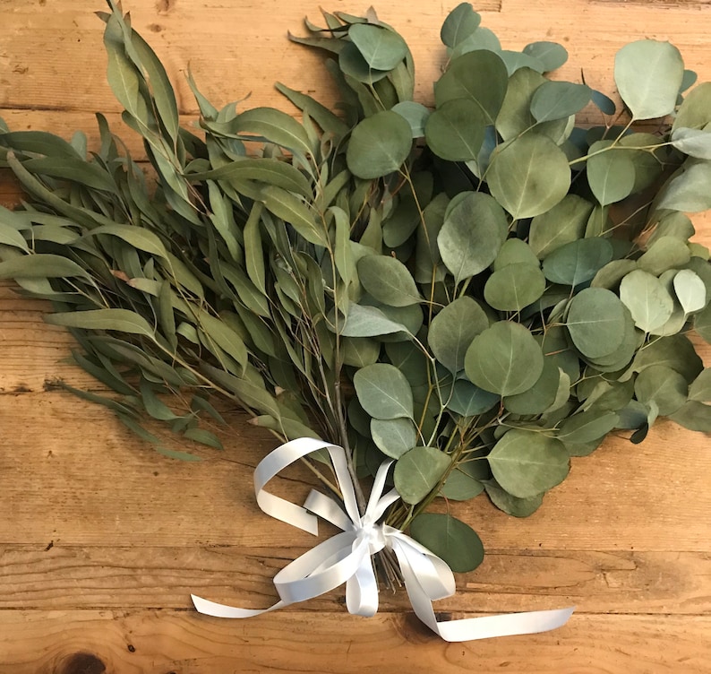 eucalyptus for bouquets