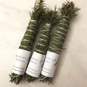 Dried Hand Made Evergreen Smudge Wand | Aromatherapy Pine Needles 6 inch
