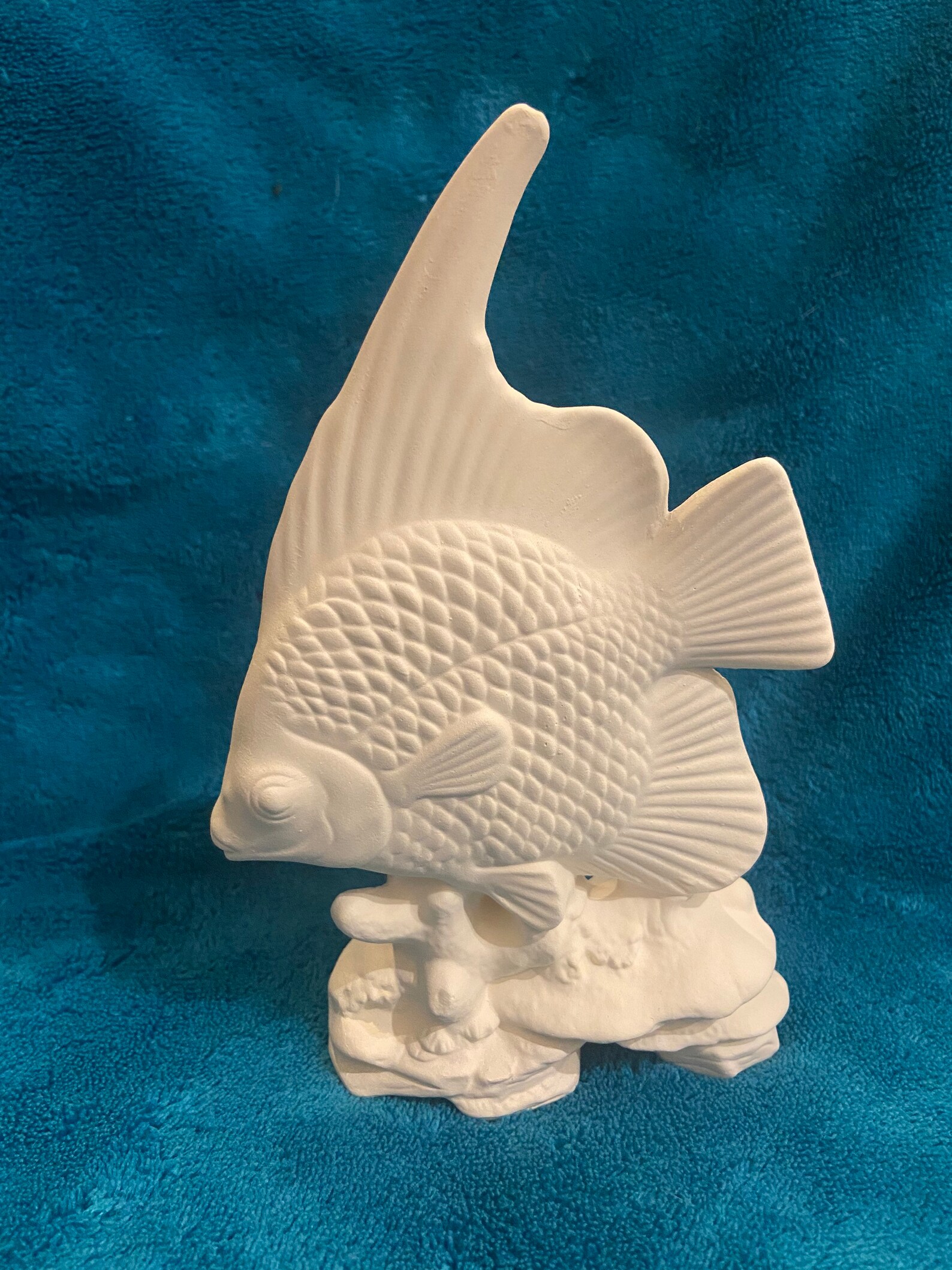 Ceramic bisque fish on reef ready to paint Etsy