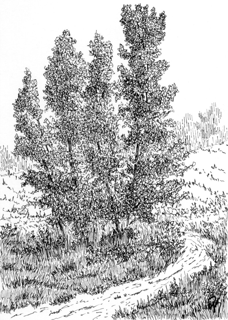 Original Drawing Nature Wall Art Path Around the Trees Pen Etsy