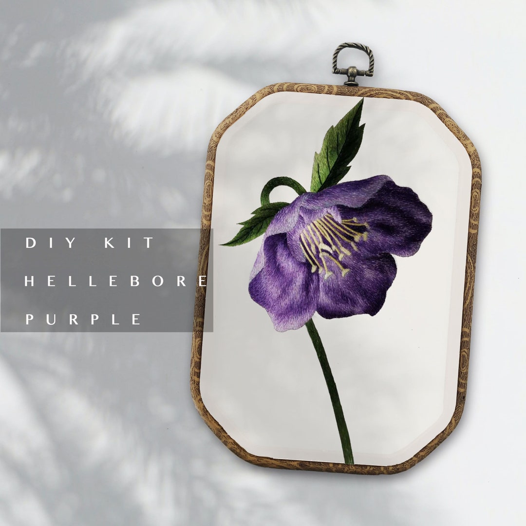 DIY Chinese Silk Embroidery Kits Kit Purple Hellebore Etsy