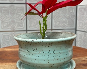 Succulent Planter/Handmade Ceramic Pot with Attached Drain Dish/Plant Lover