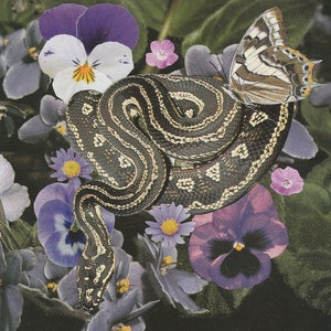 Purple Garden Snake Print image 1