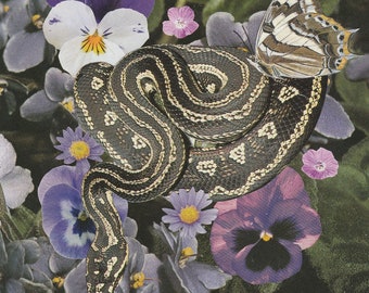 Purple Garden Snake Print