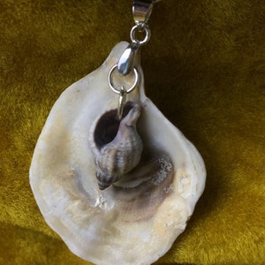 Oyster & Tiny Shell Pendant
