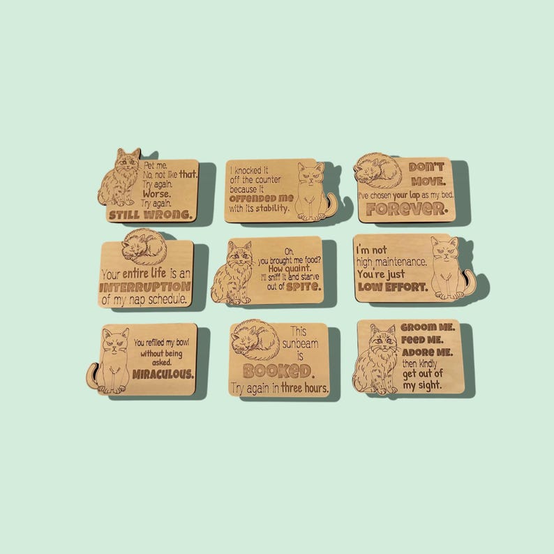 Ten wooden cat magnets with different cat illustrations and funny sayings.
