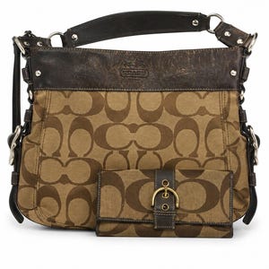 Coach Zoe Bag - Etsy