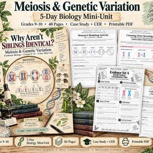 Pode incluir: Uma unidade didática de biologia de 40 páginas intitulada Why Aren't Siblings Identical? Meiosis & Genetic Variation para os graus 9-10. O conjunto inclui uma capa ilustrada, várias folhas de trabalho imprimíveis, estudos de caso e atividades.